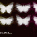 Sally Doherty, Electric Butterfly